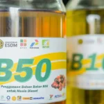 Mandatori B50 Berlaku, Indef: Pemerintah Perlu Waspadai Defisit Pendanaan Biodiesel