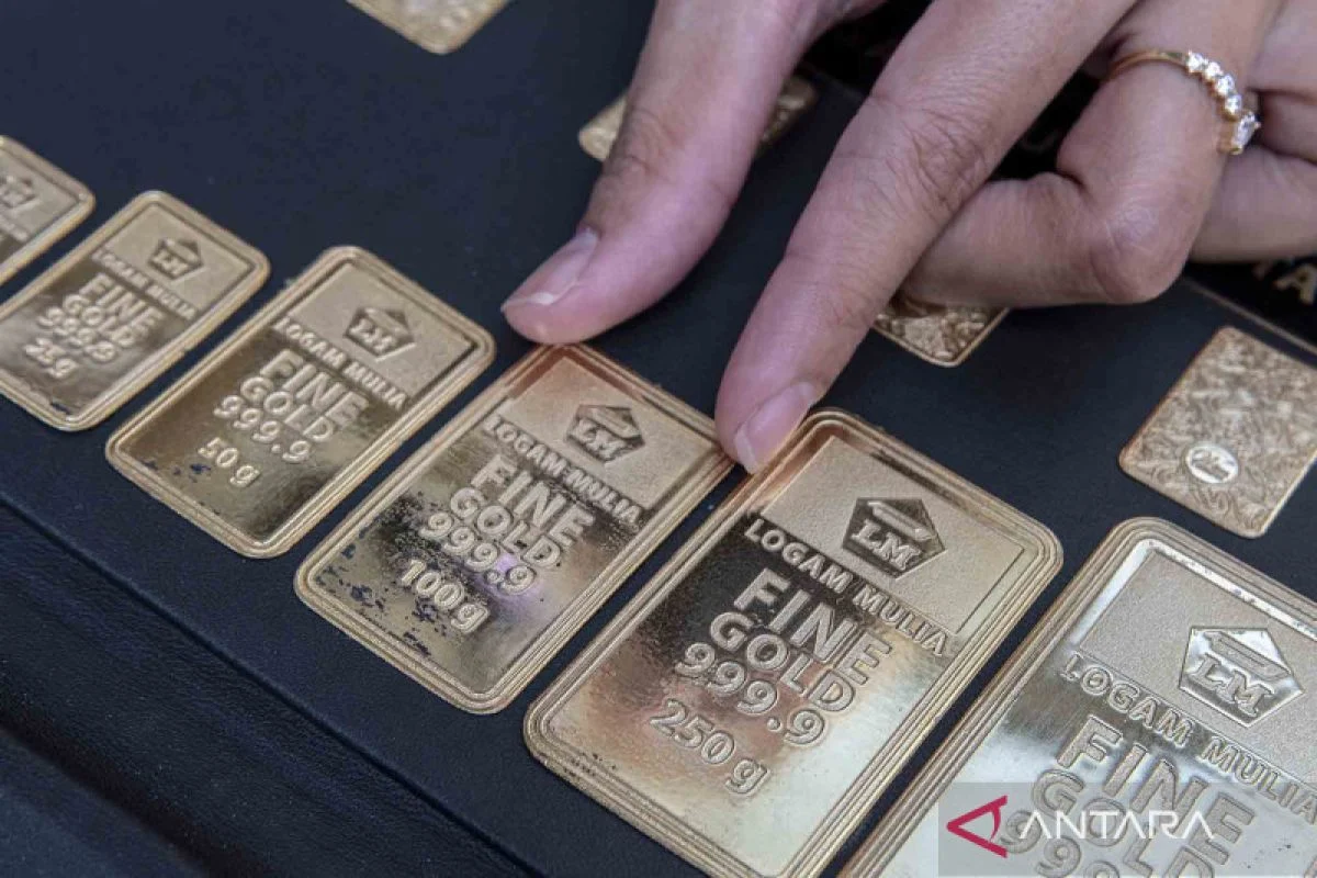 Sensasi Penggeledahan Mewah Sentul, Rp476 Miliar dan Emas 74 Kg Terbongkar! Ada Apa dengan Jampidsus Febrie Adriansyah?
